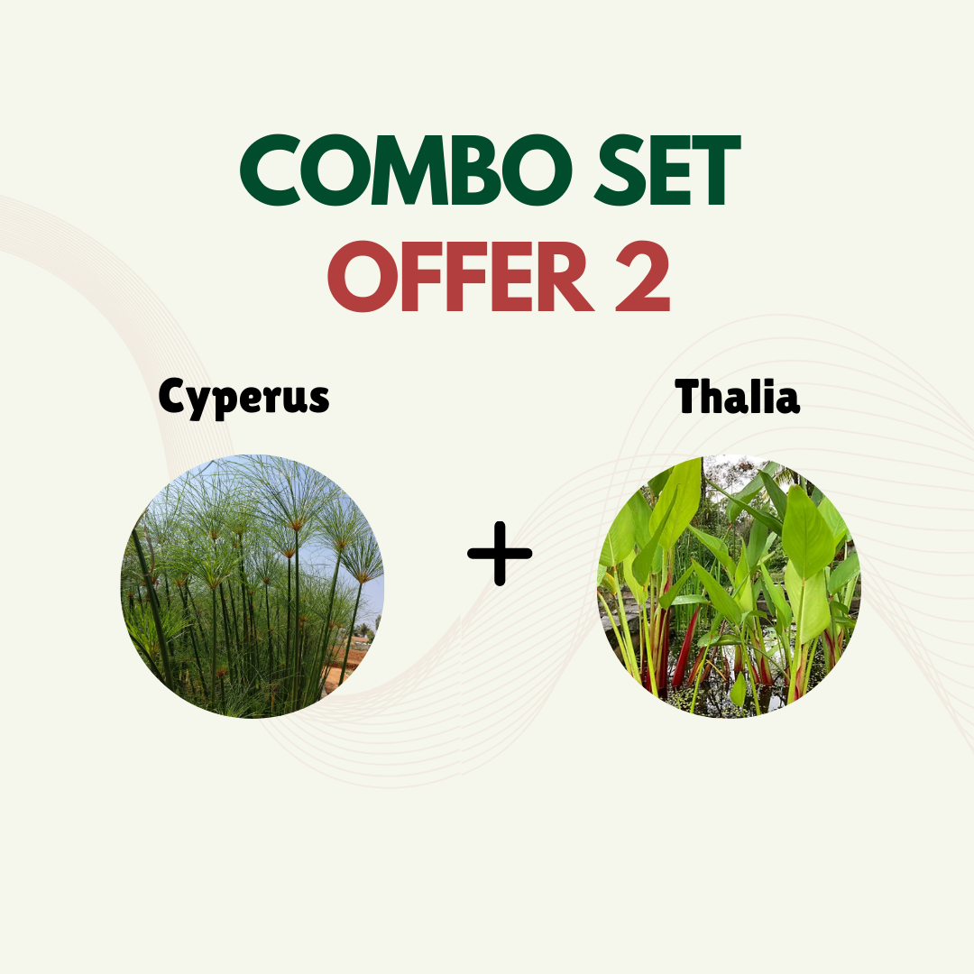 Plant Combo Set 2