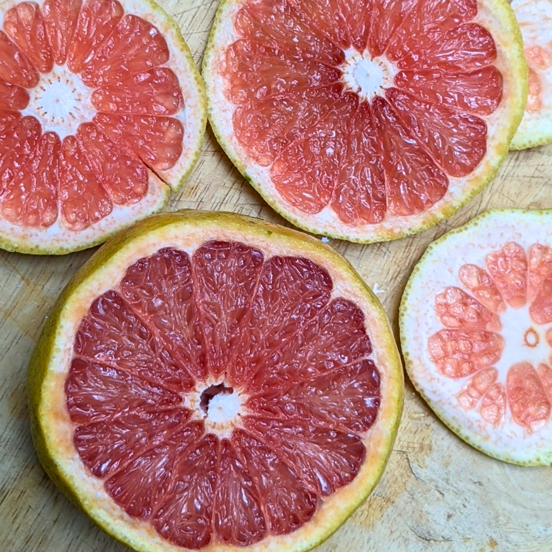 Ruby Red Grapefruit (Bangalore)