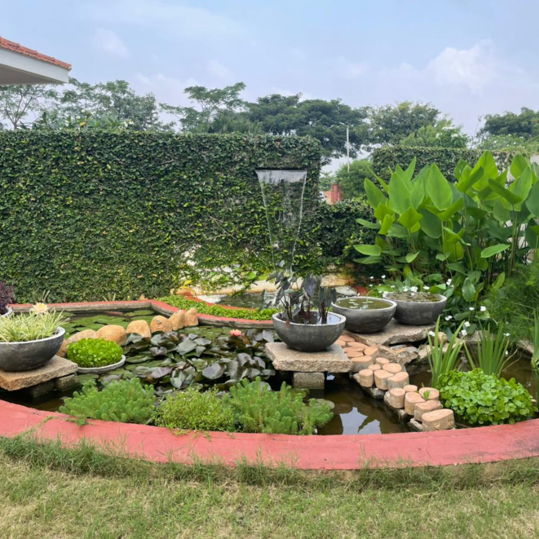 Sustainable Landscaping - Advanced