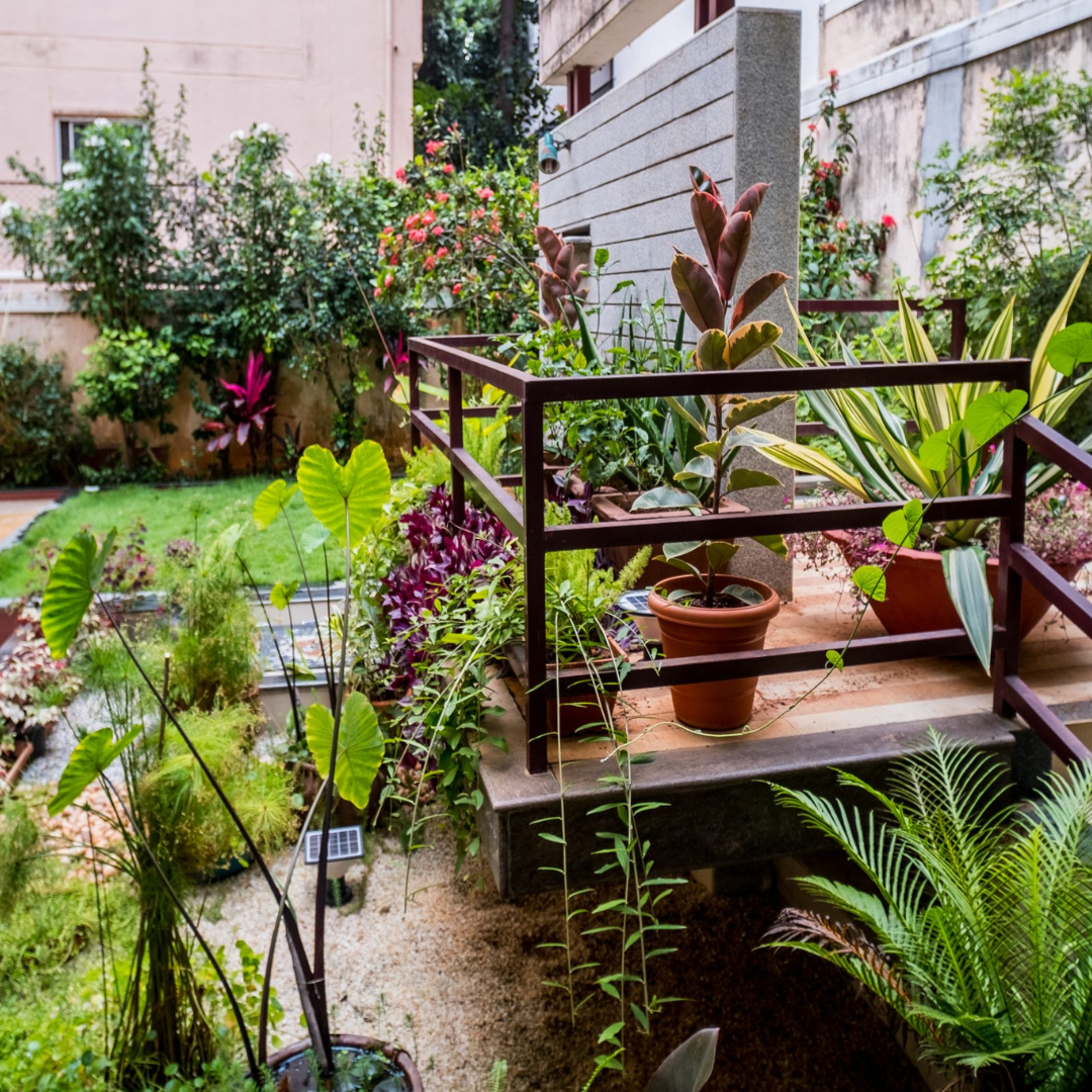 Sustainable Landscaping - Basic