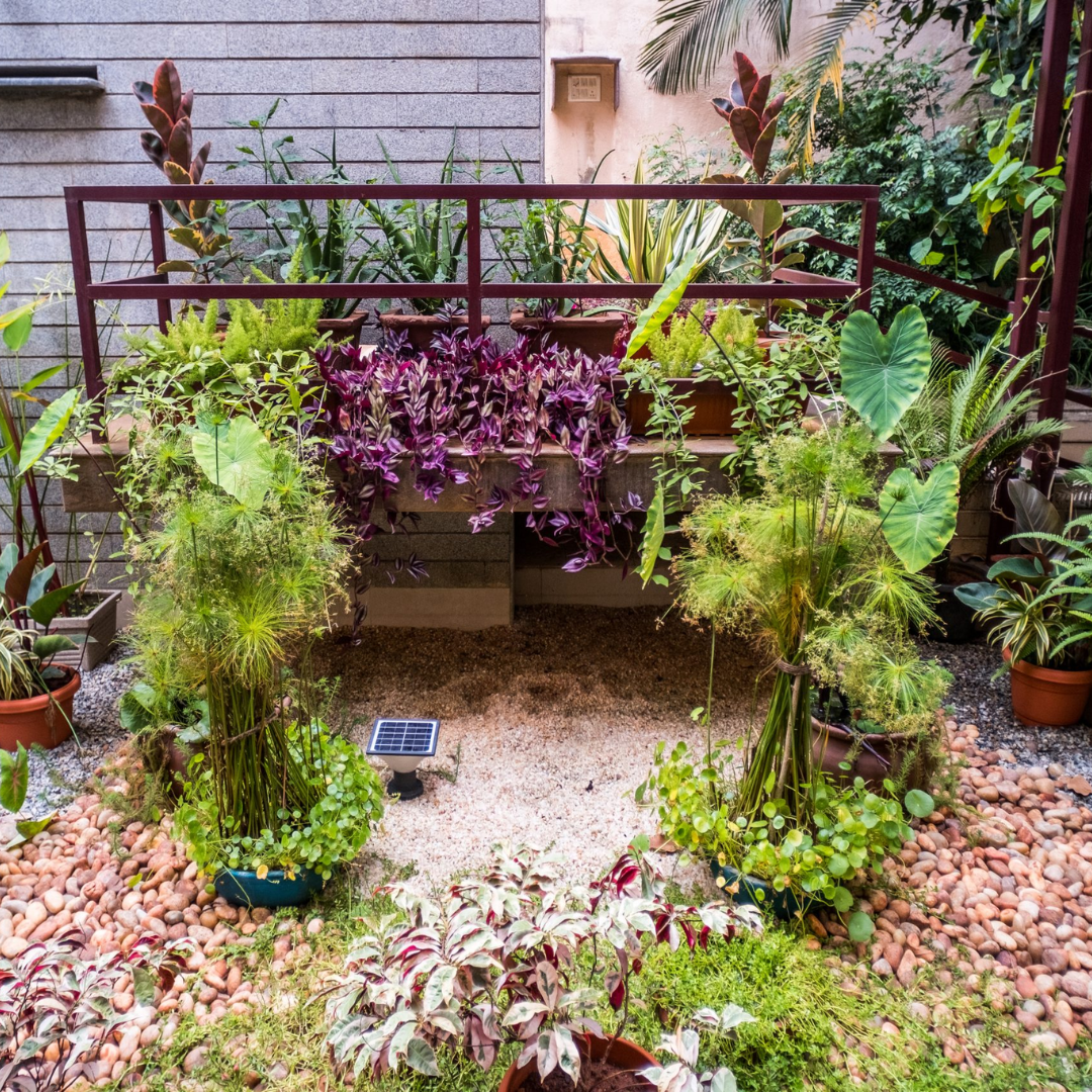 Sustainable Landscaping - Basic