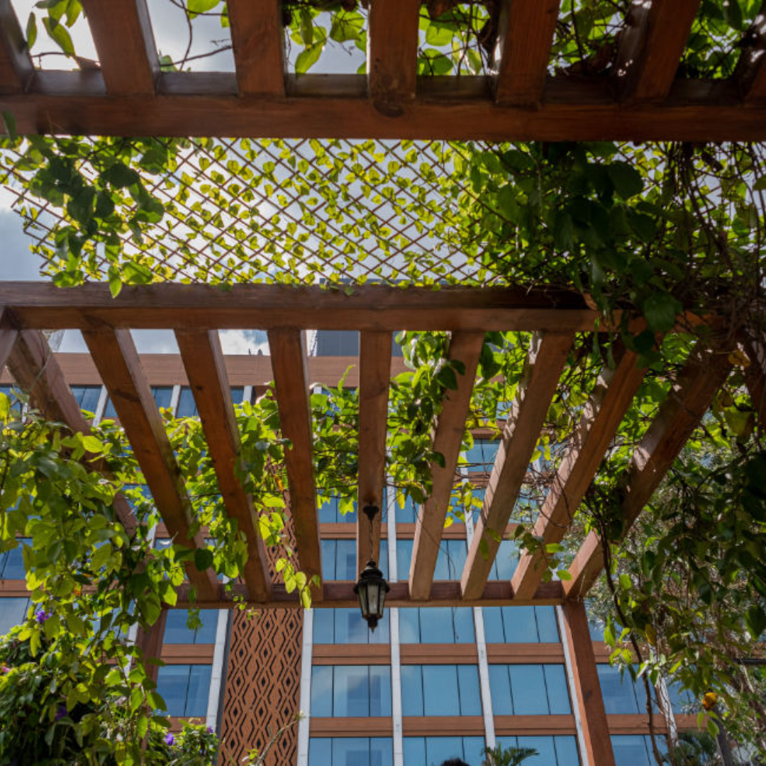 Sustainable Landscaping - Medium