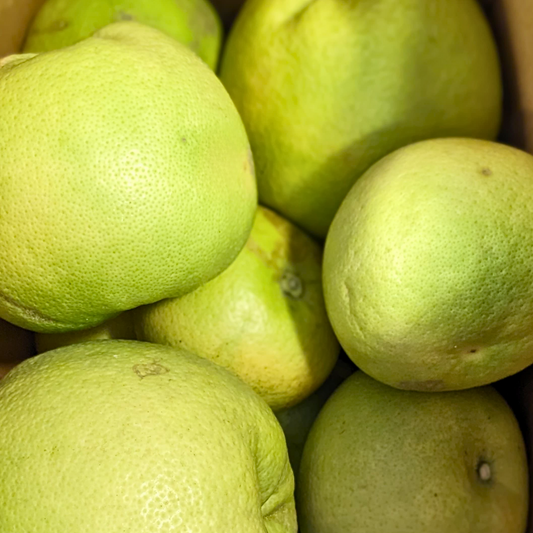 Oro Blanco Grapefruit