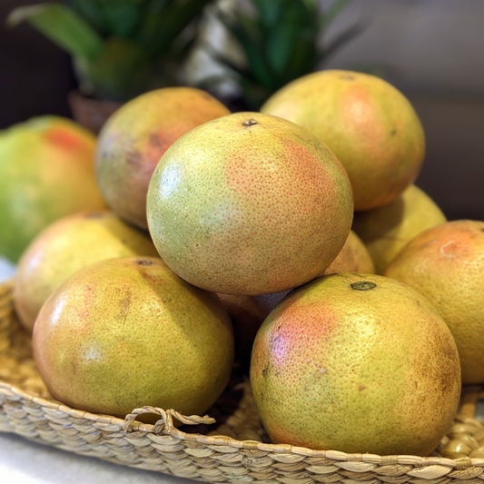 Ruby Red Grapefruit (Bangalore)