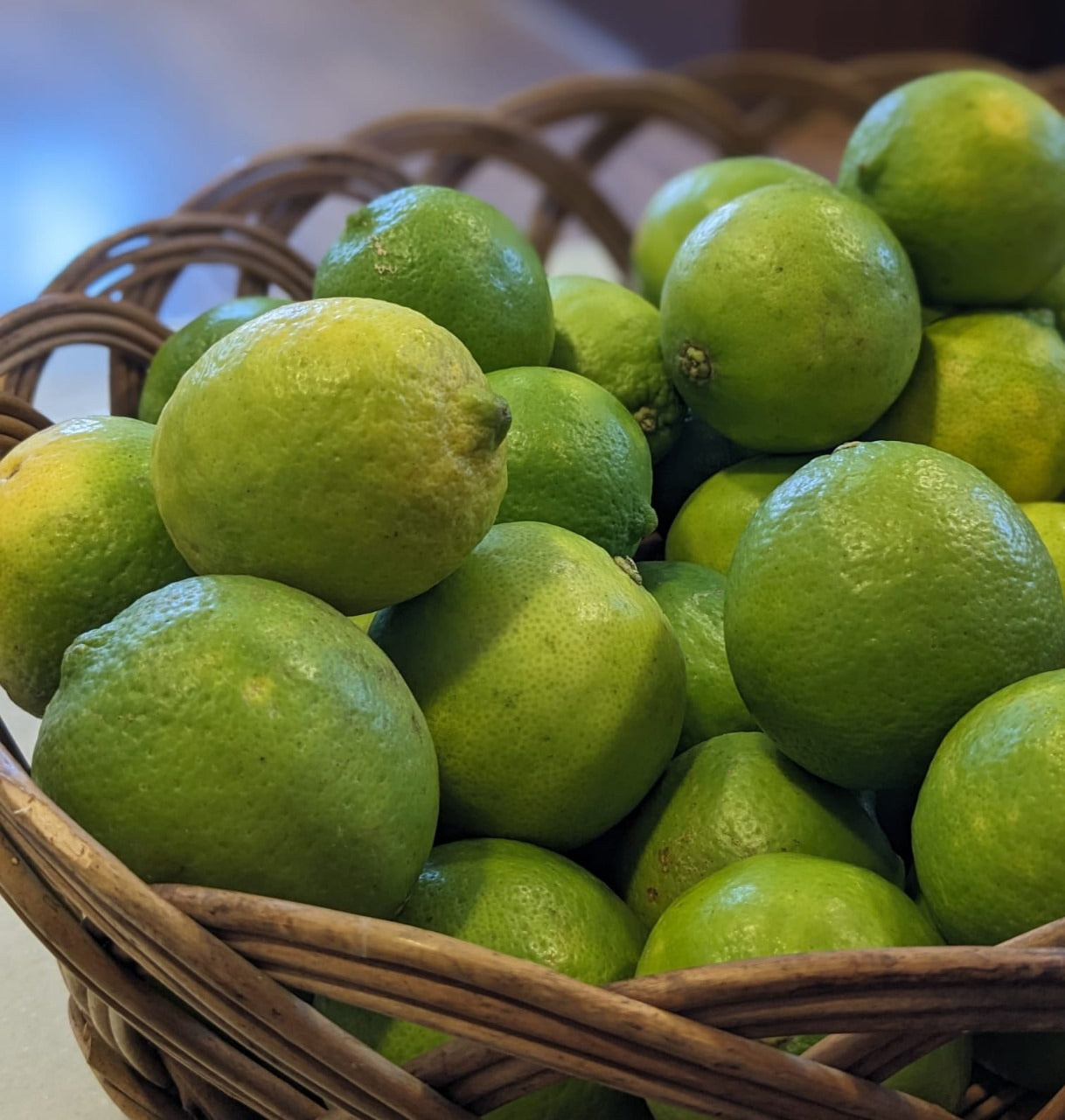 Seedless Lime (Bangalore)